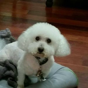 Meet your Posher, Vanessa